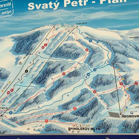 Bellevue アパート *