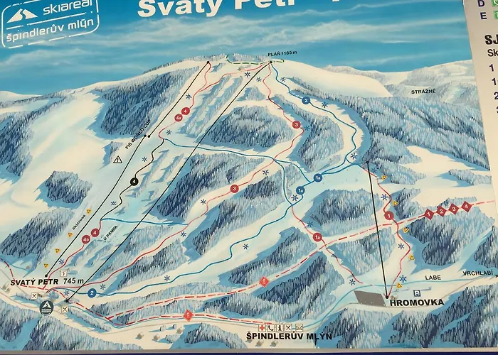 Bellevue アパート *